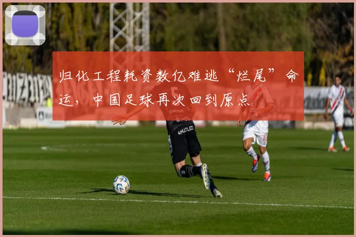 归化工程耗资数亿难逃“烂尾”命运，中国足球再次回到原点